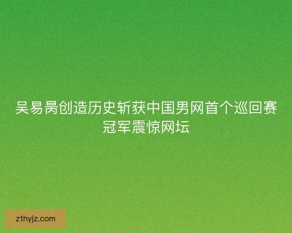吴易昺创造历史斩获中国男网首个巡回赛冠军震惊网坛