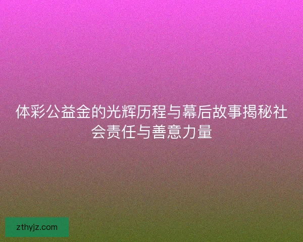 体彩公益金的光辉历程与幕后故事揭秘社会责任与善意力量